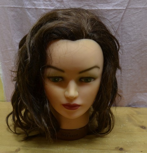 Testa con capelli veri per - con,